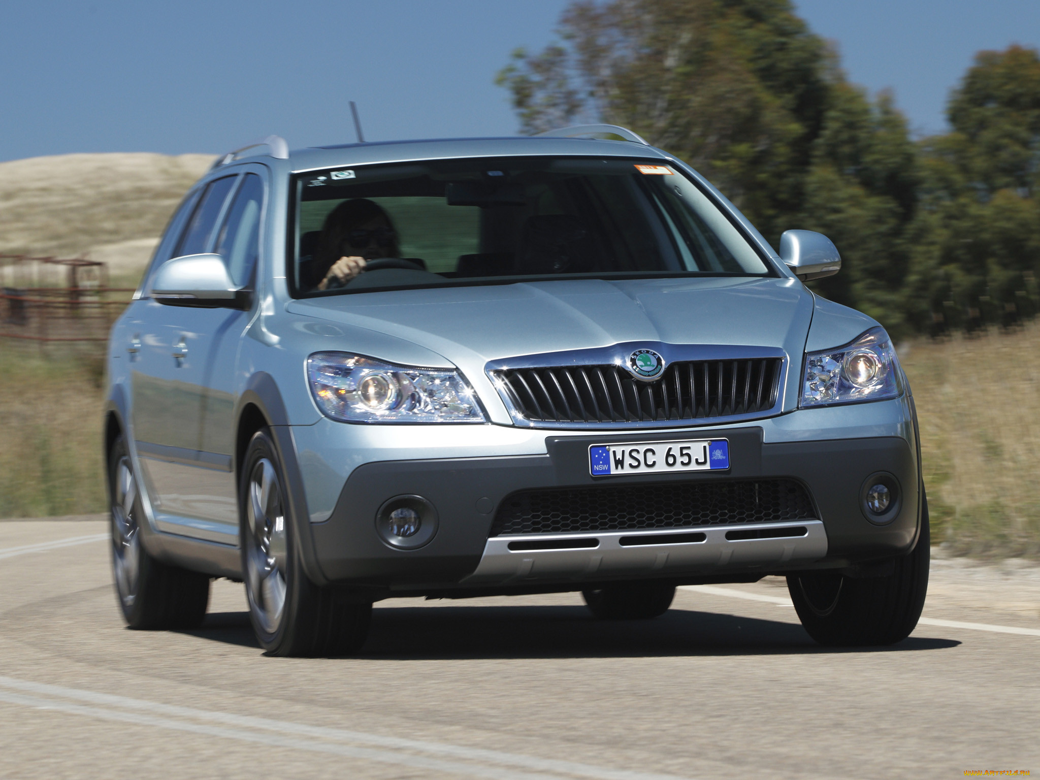 skoda, octavia, scout, , , volkswagen, ag, auto